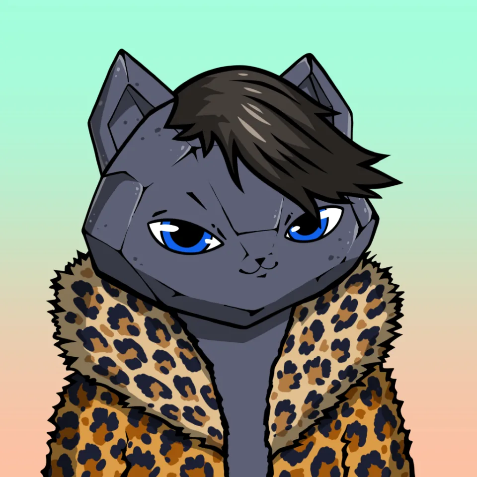 Curated Stoncat showcase image